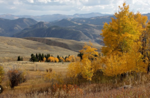 Yellowstone's landscape vaotas.com