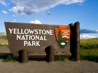 Yellowstone's Development of the Park vaotas.com