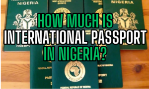 How Much Is International Passport In Nigeria