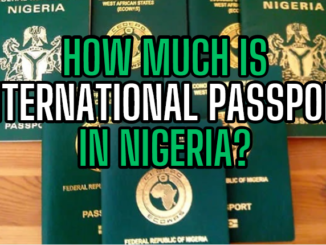How Much Is International Passport In Nigeria