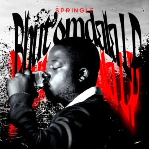 Springle – Qaphela Intro Ft. D’braz & T&T MuziQ
