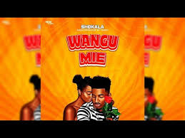 Shokala Mc - Wangu mie
