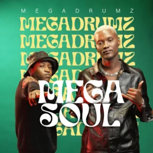 Megadrumz – Mak’ Moshakale Ft. The Real Man