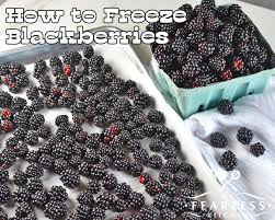 How To Freeze Blackberries