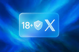 How to Verify Age on X