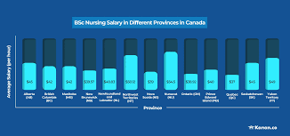 Travel Nurse Salary Canada