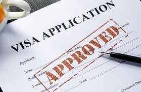 Visa Travel Assistance