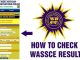 Www.Waecdirect.Org 2025 Result