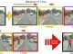 Hazard Perception Test Practice